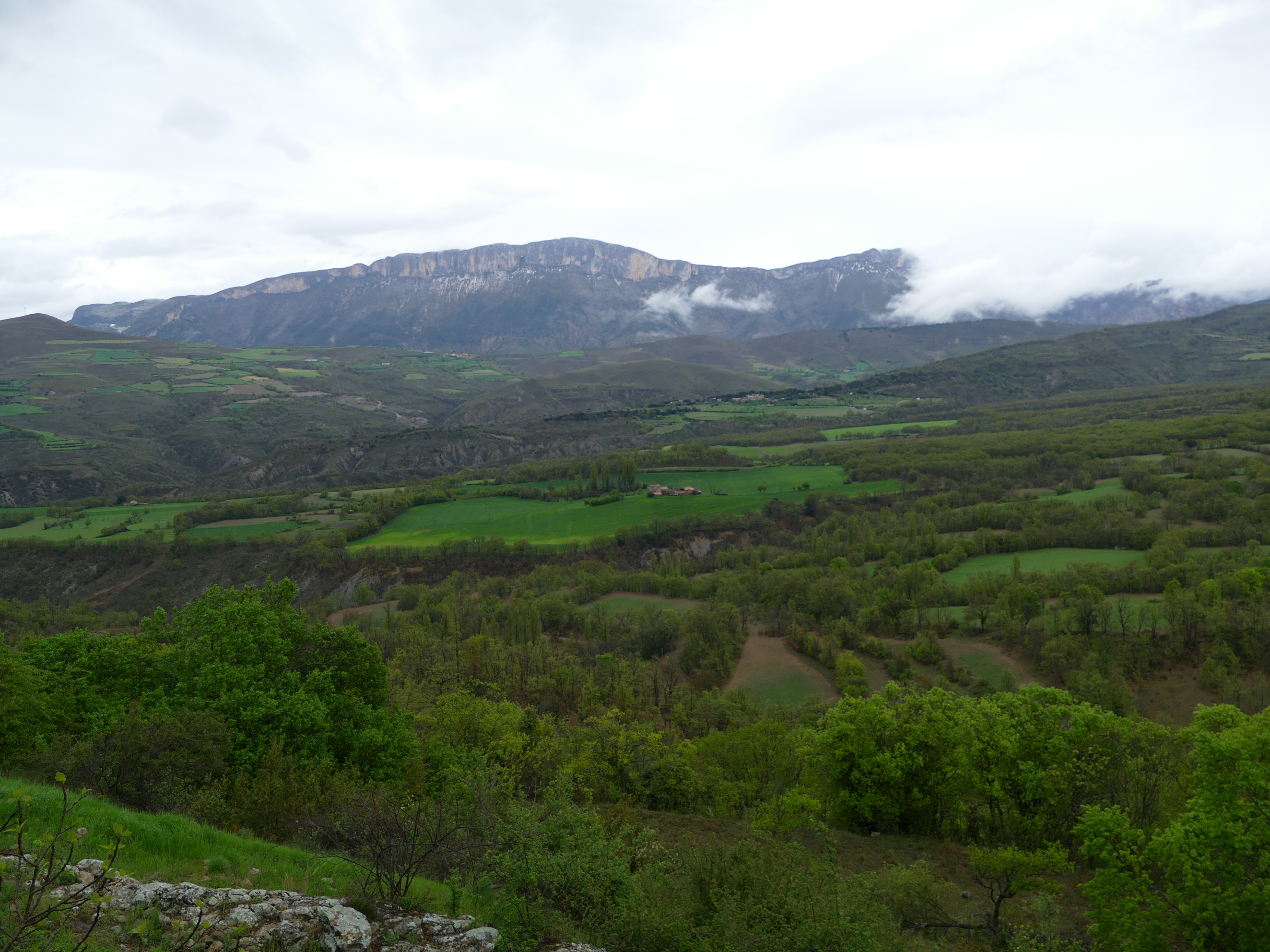 Fem Terreta