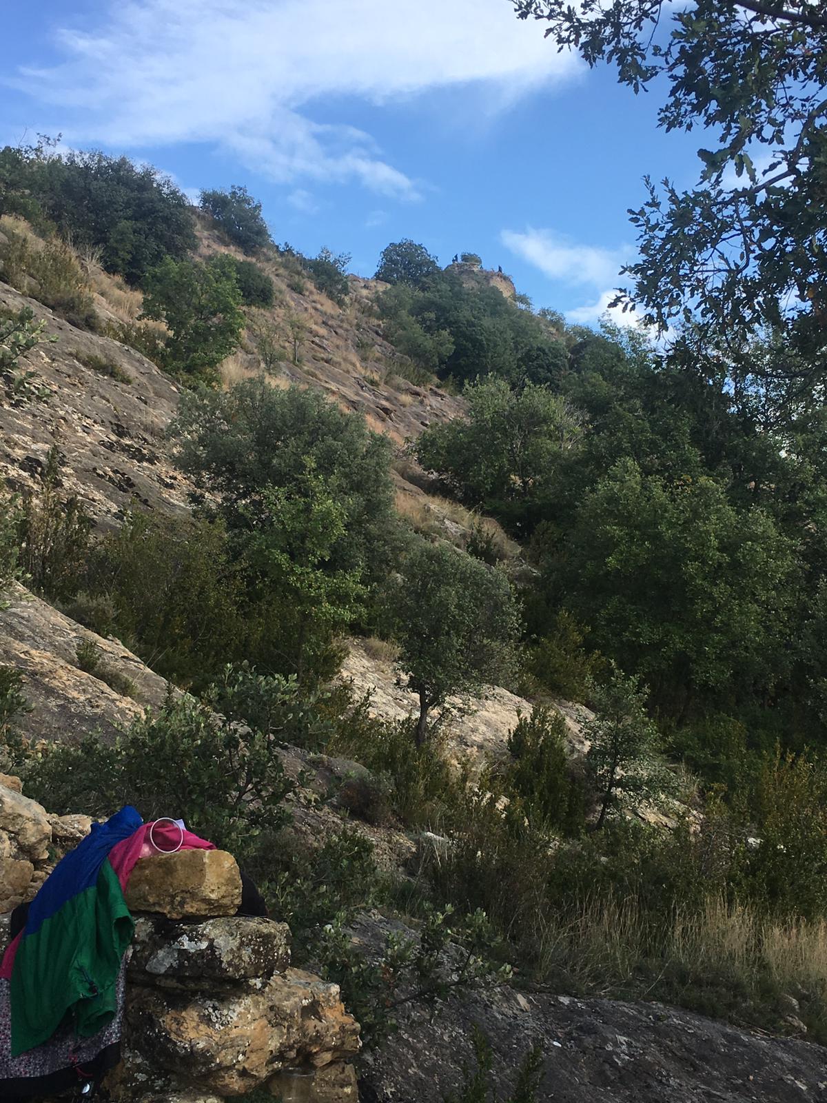 Fem Terreta