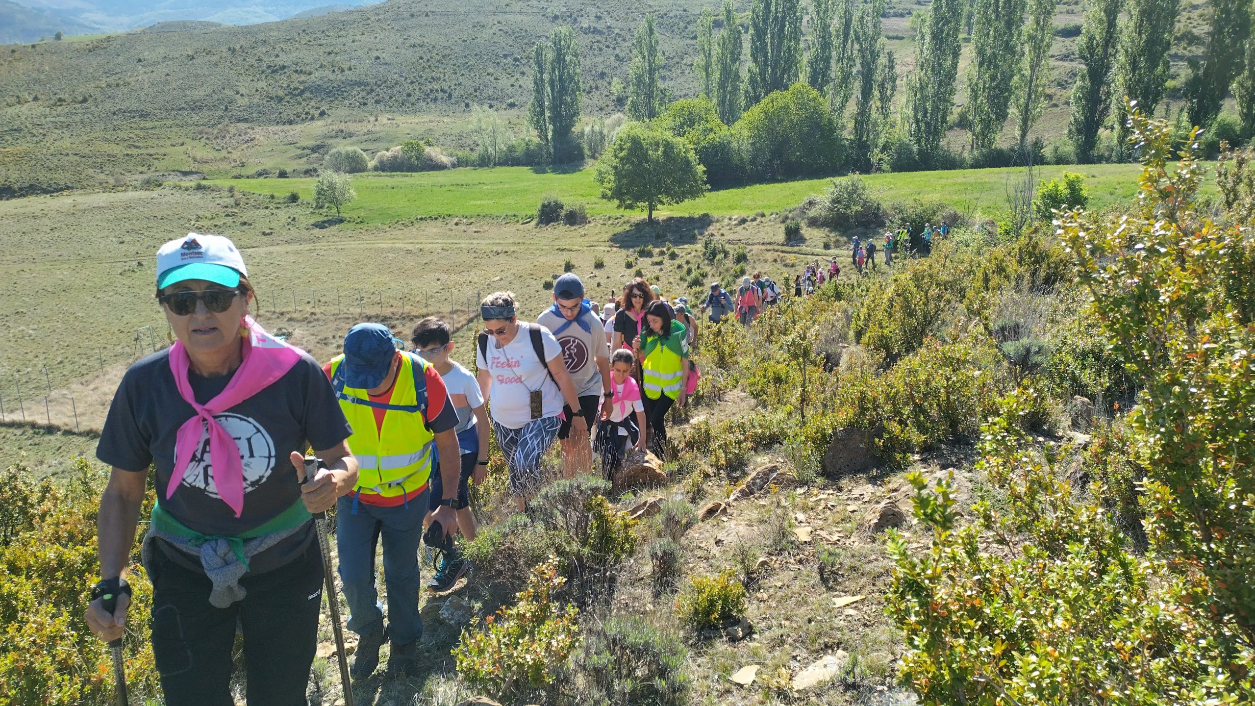Fem Terreta