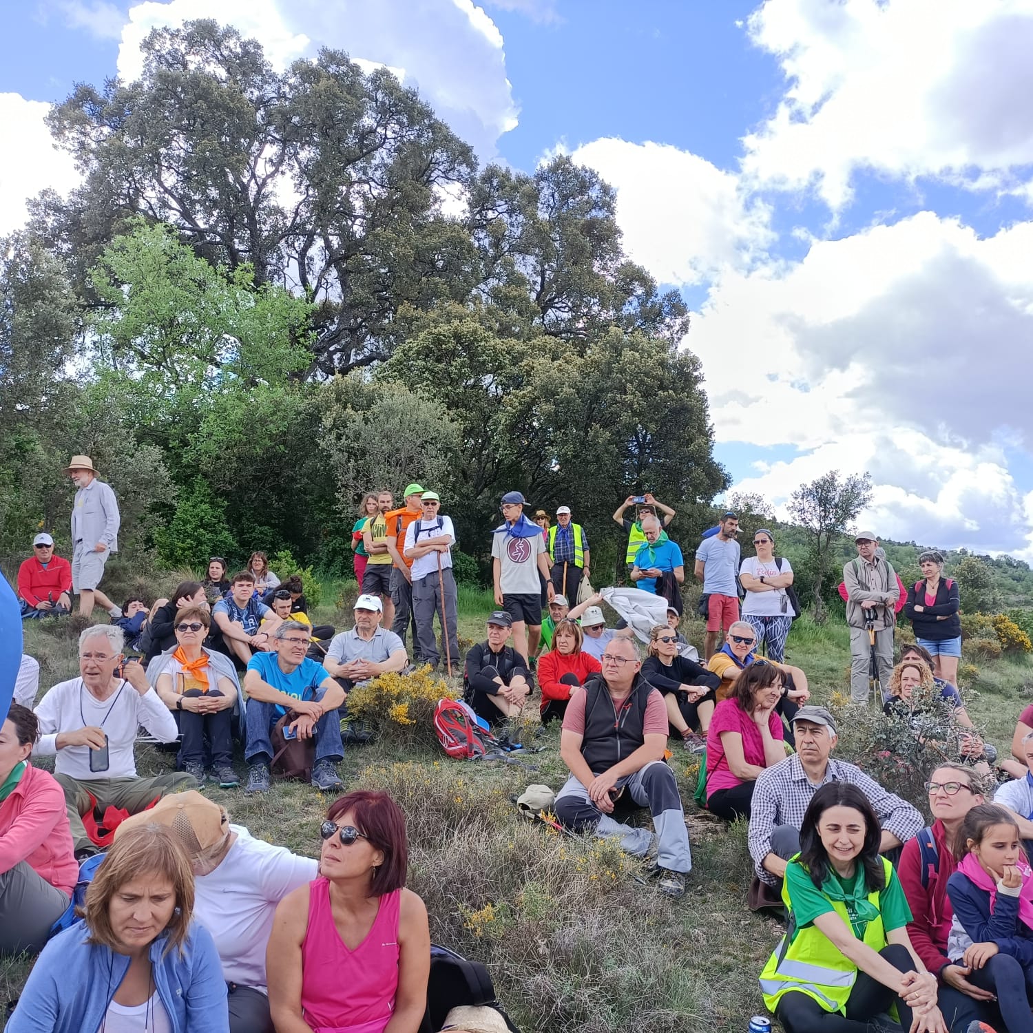 Fem Terreta