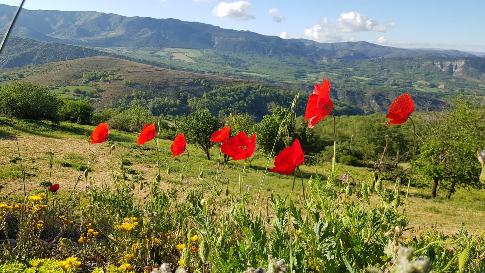 Fem Terreta