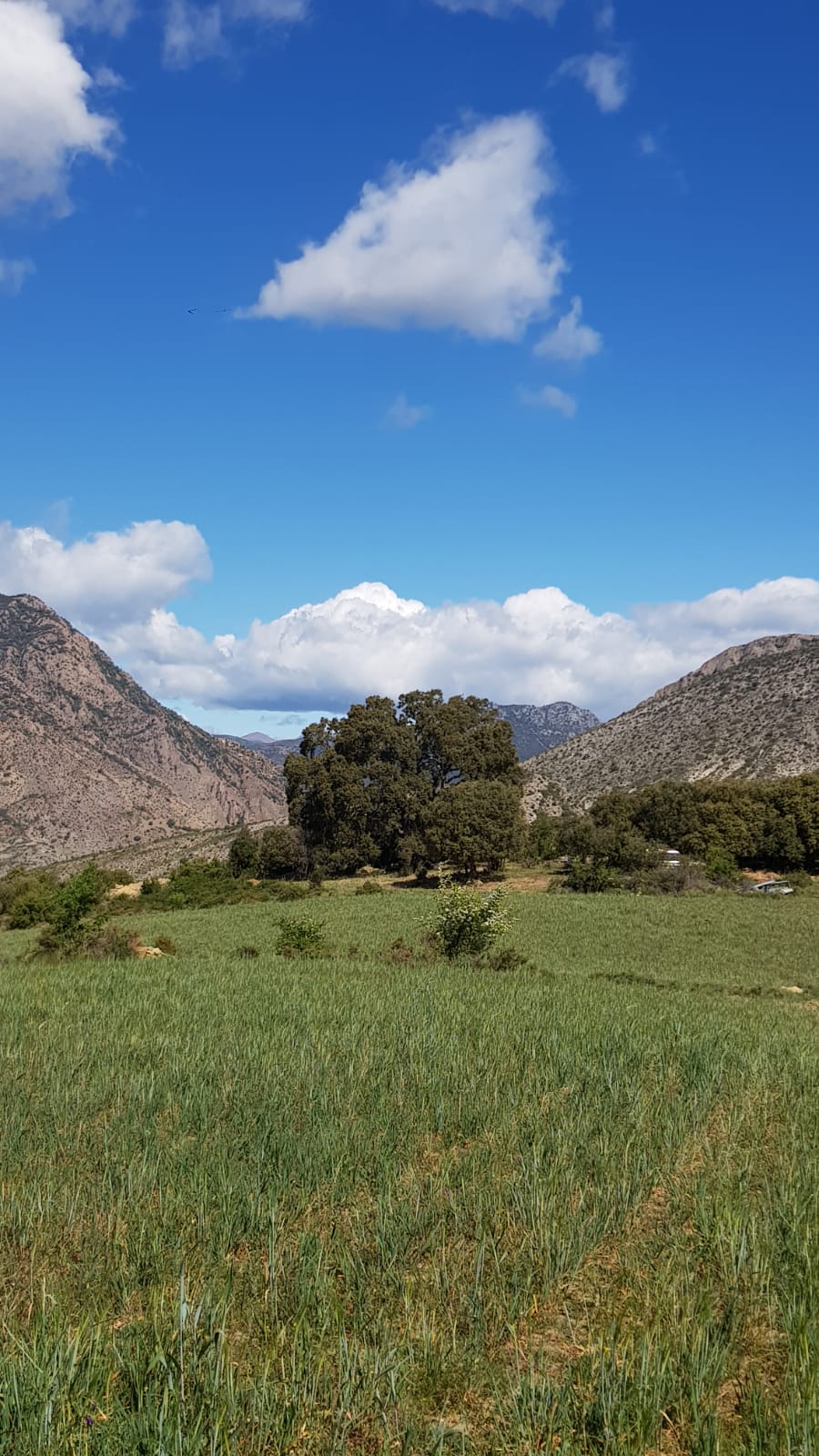 Fem Terreta