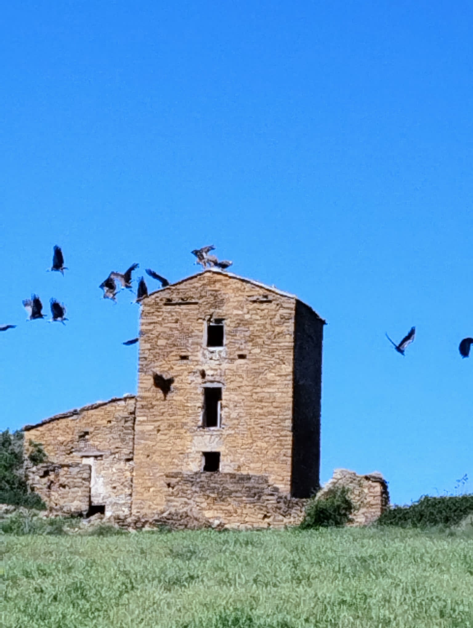 Fem Terreta
