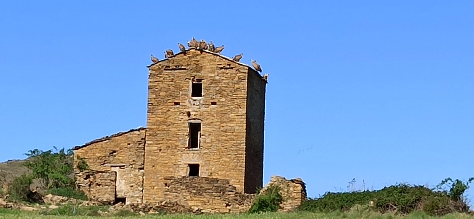 Fem Terreta