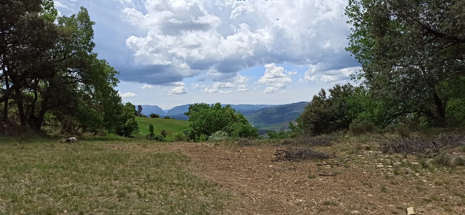 Fem Terreta