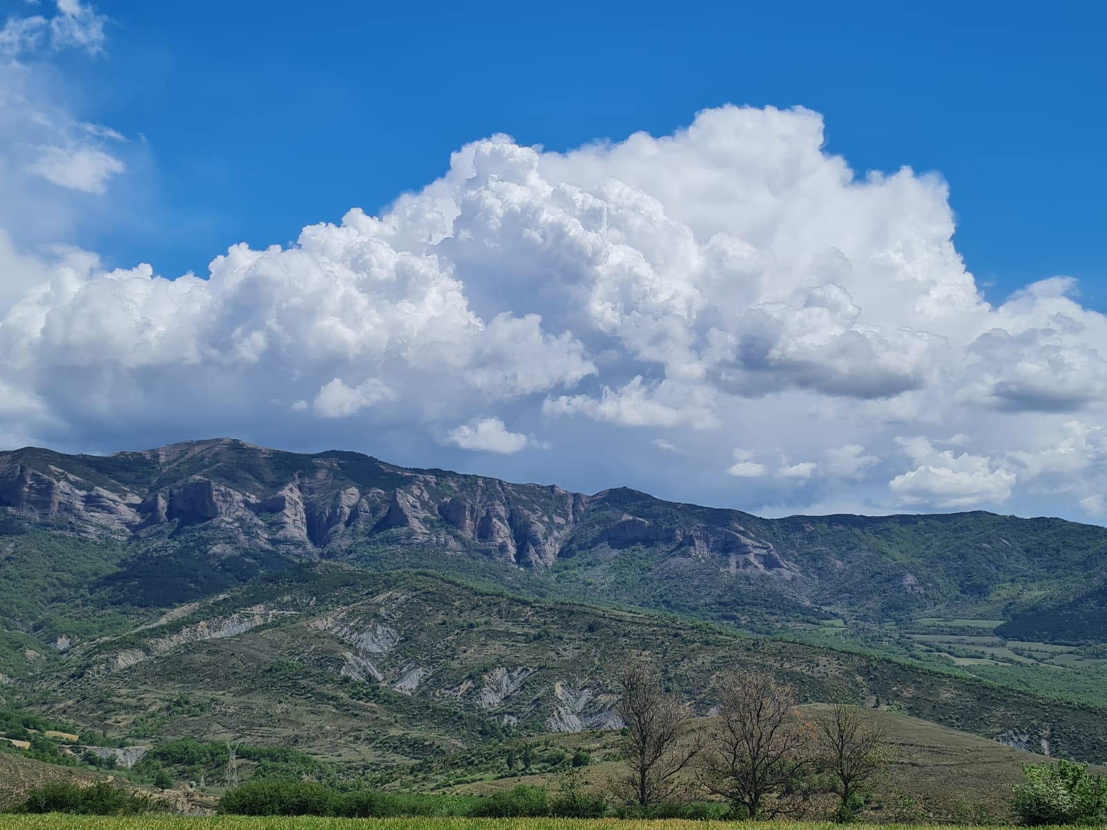 Fem Terreta