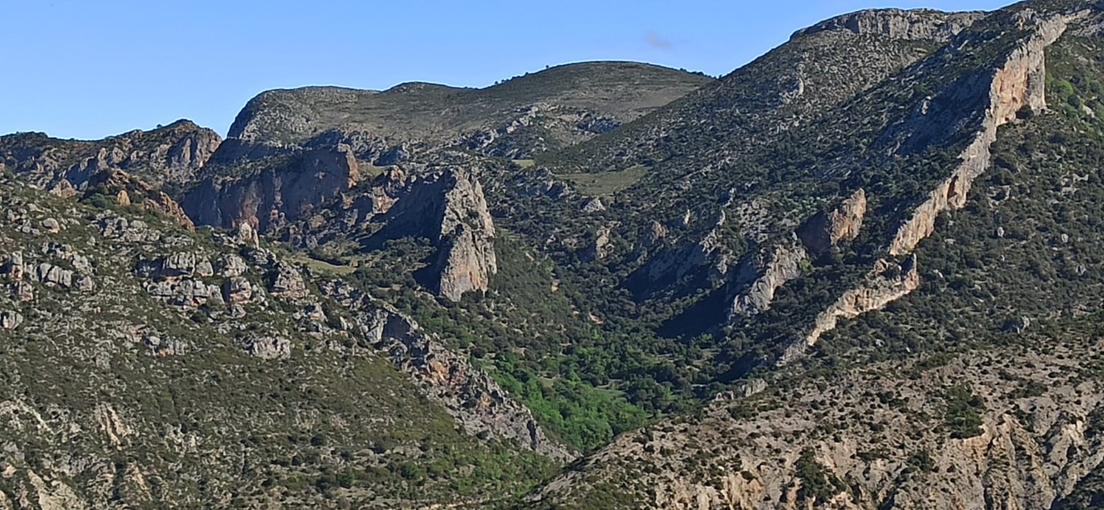 Fem Terreta