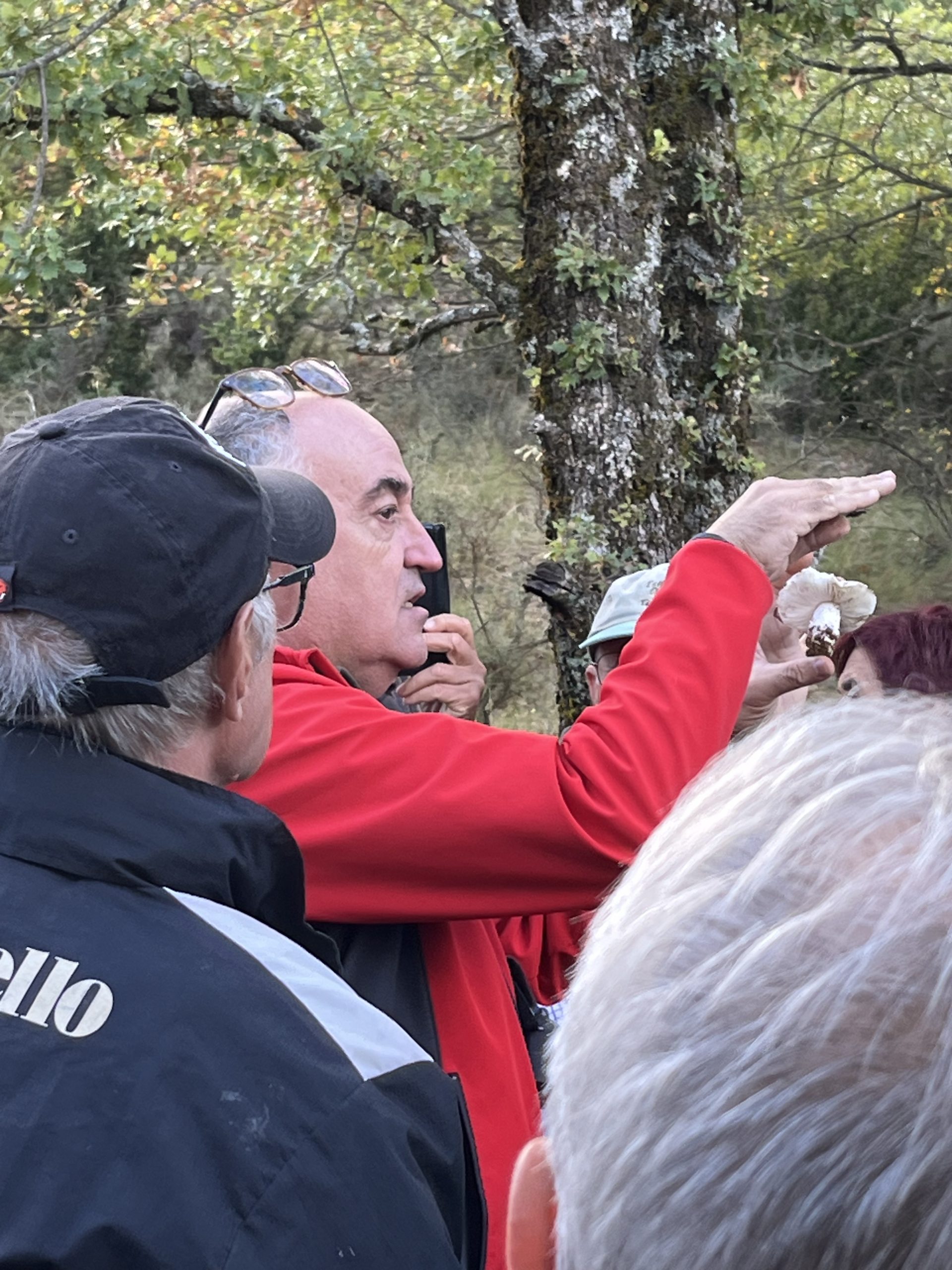 Fem Terreta