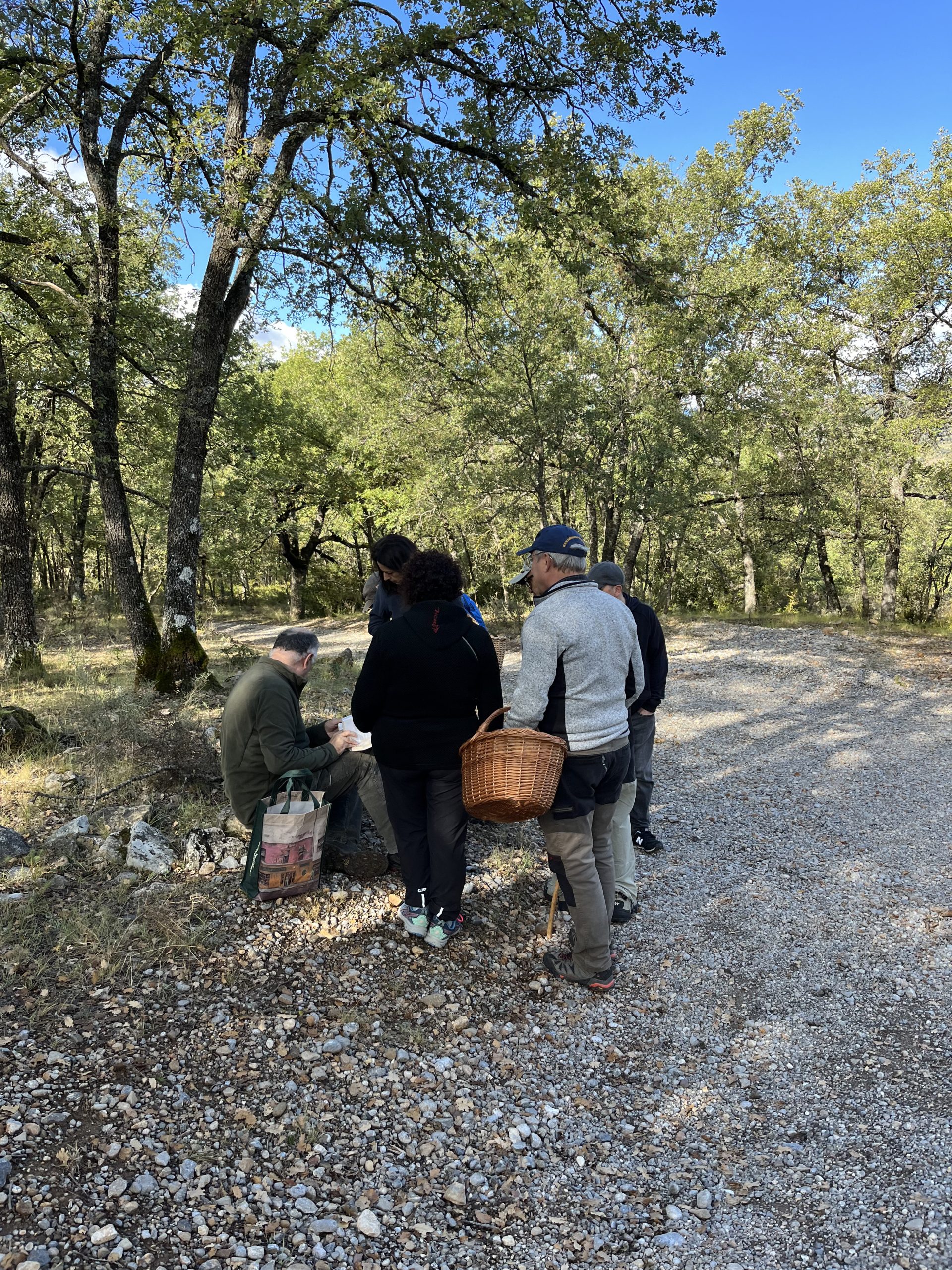 Fem Terreta