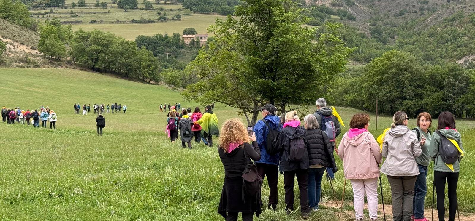 Fem Terreta