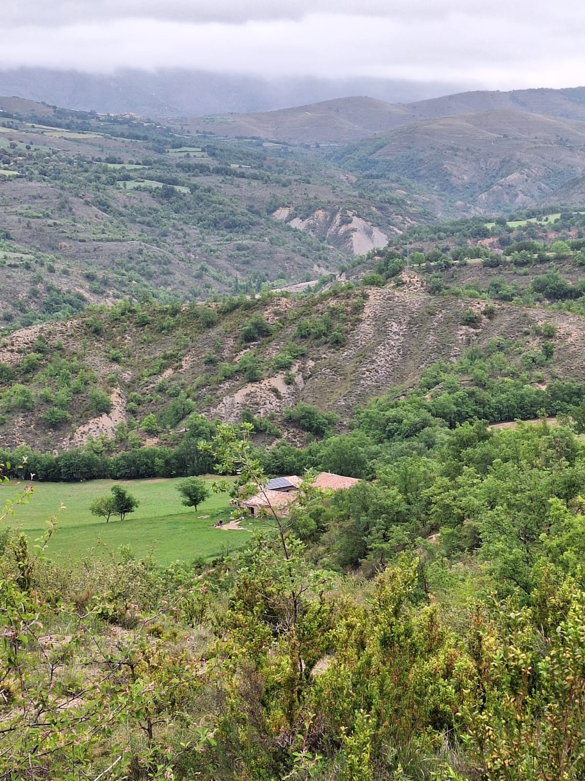 Fem Terreta