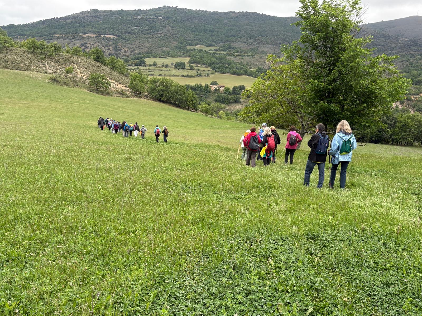 Fem Terreta
