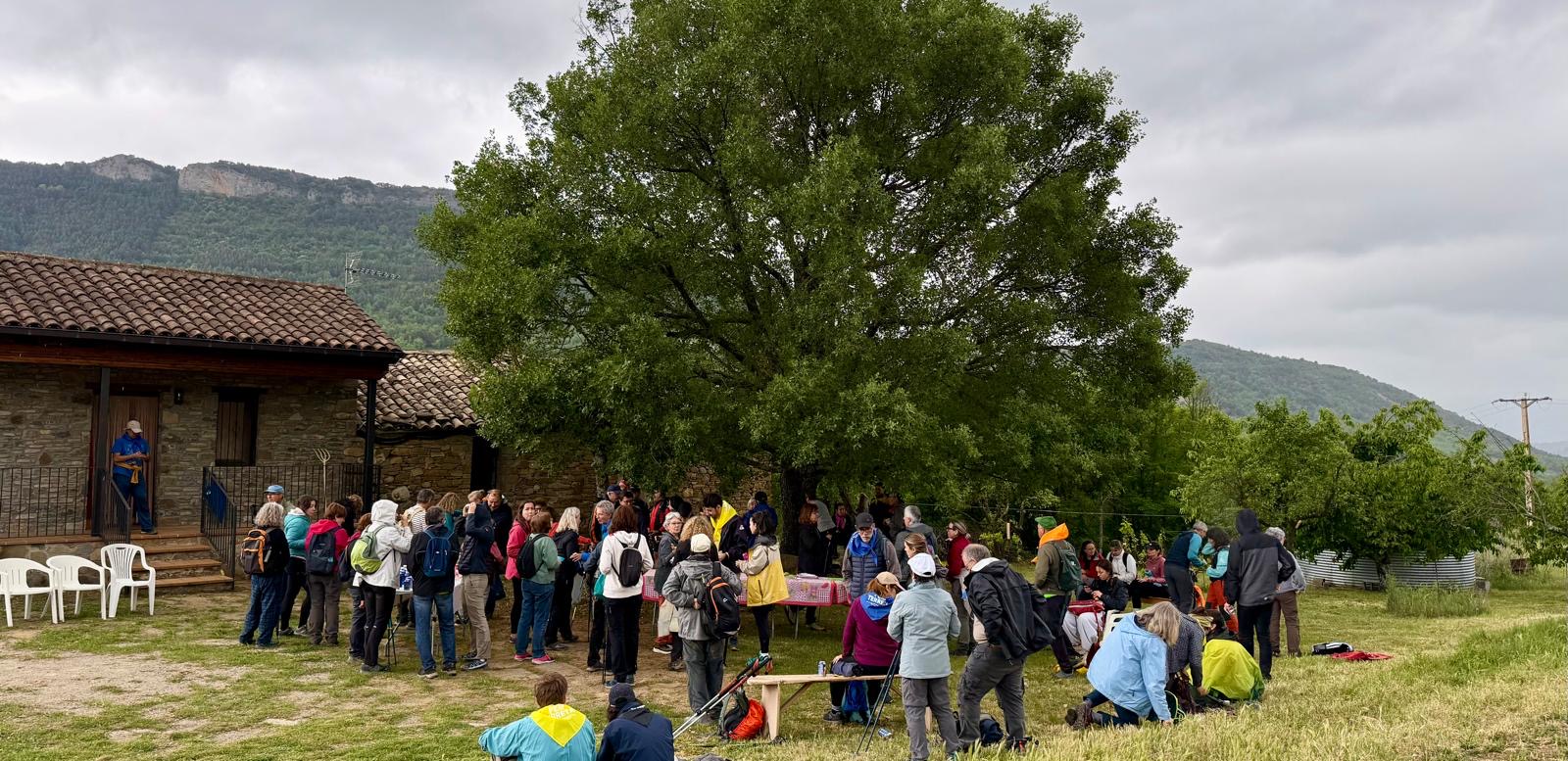 Fem Terreta